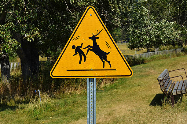 Are Deer Dangerous?: Safety And Behavior