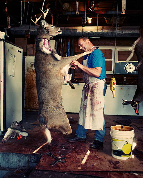 How Long To Hang Deer: A Guide to Proper Aging