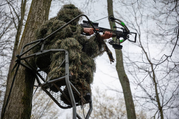 Best Bow For Deer Hunting